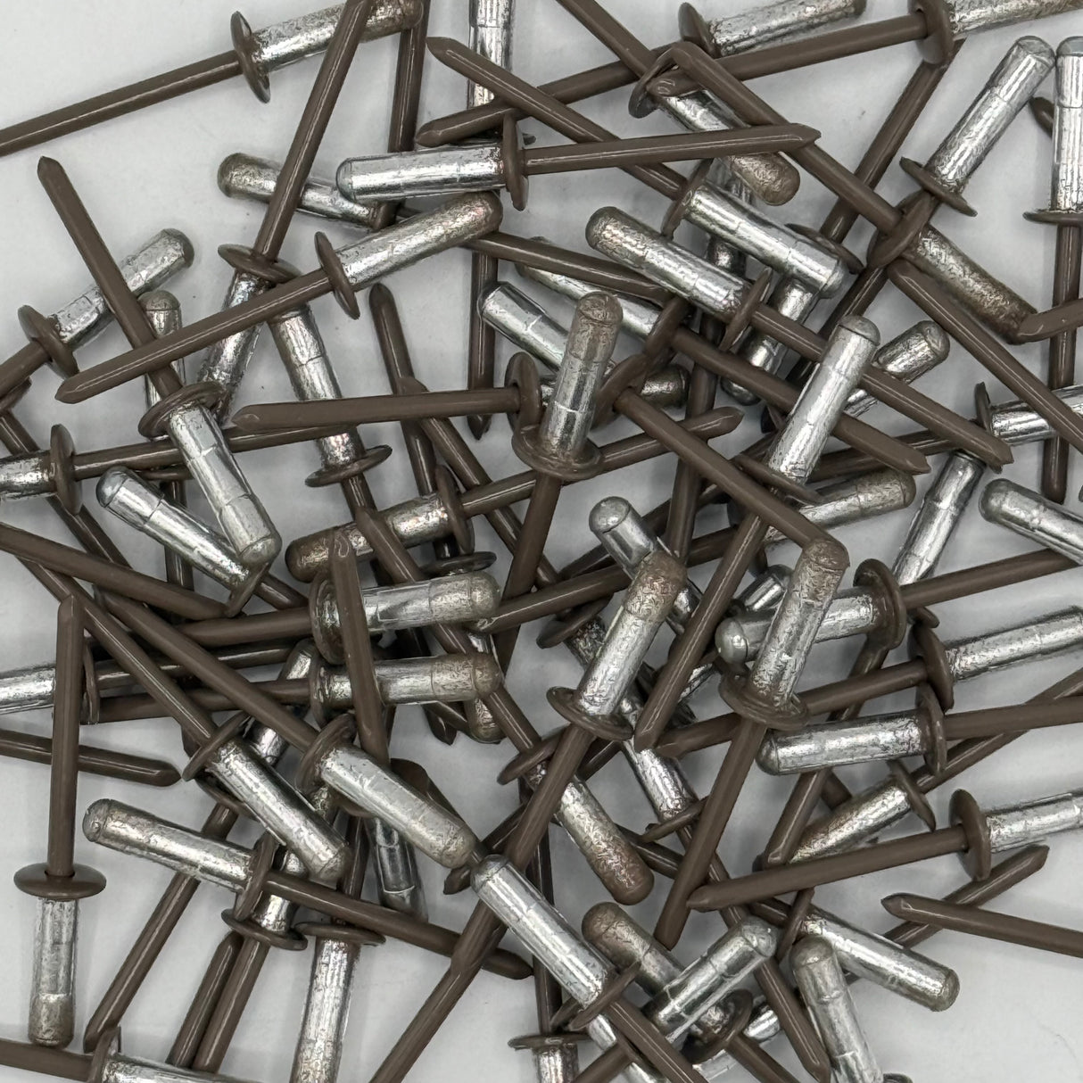 Coloured Rivets 4.9 x15mm (Pack of 100)