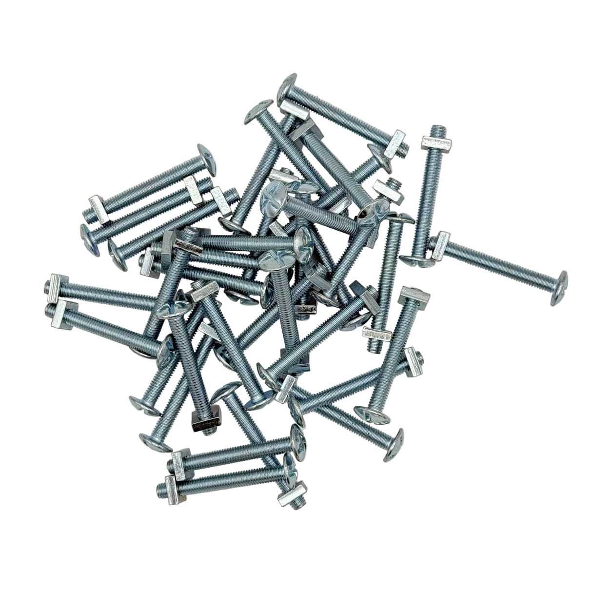 Gutter Bolts & Nut M6 x 50mm