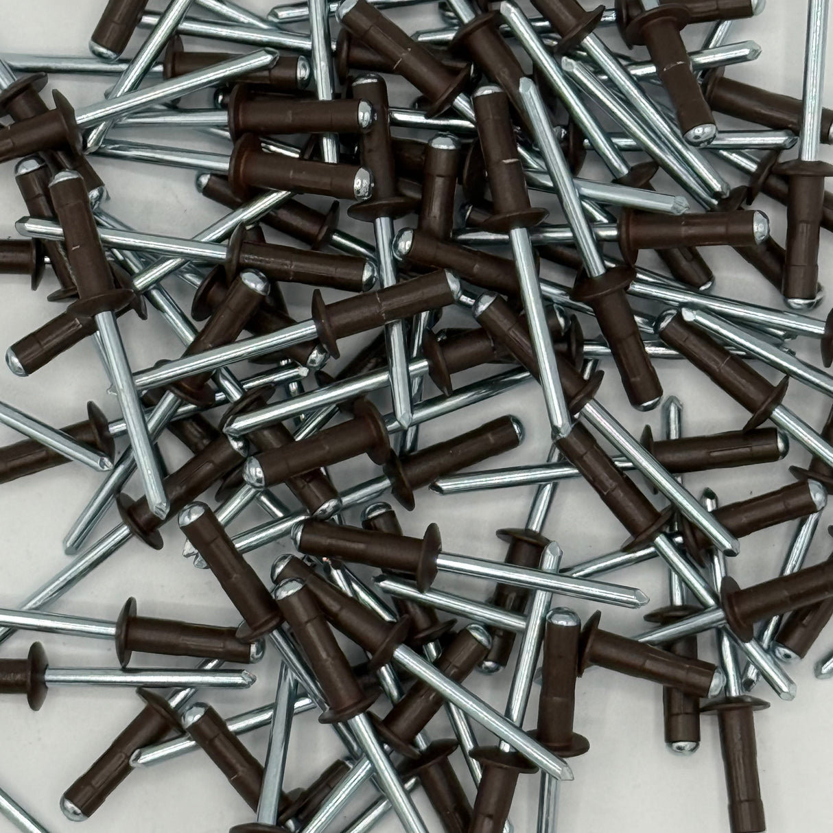 Coloured Rivets 4.9 x15mm (Pack of 100)