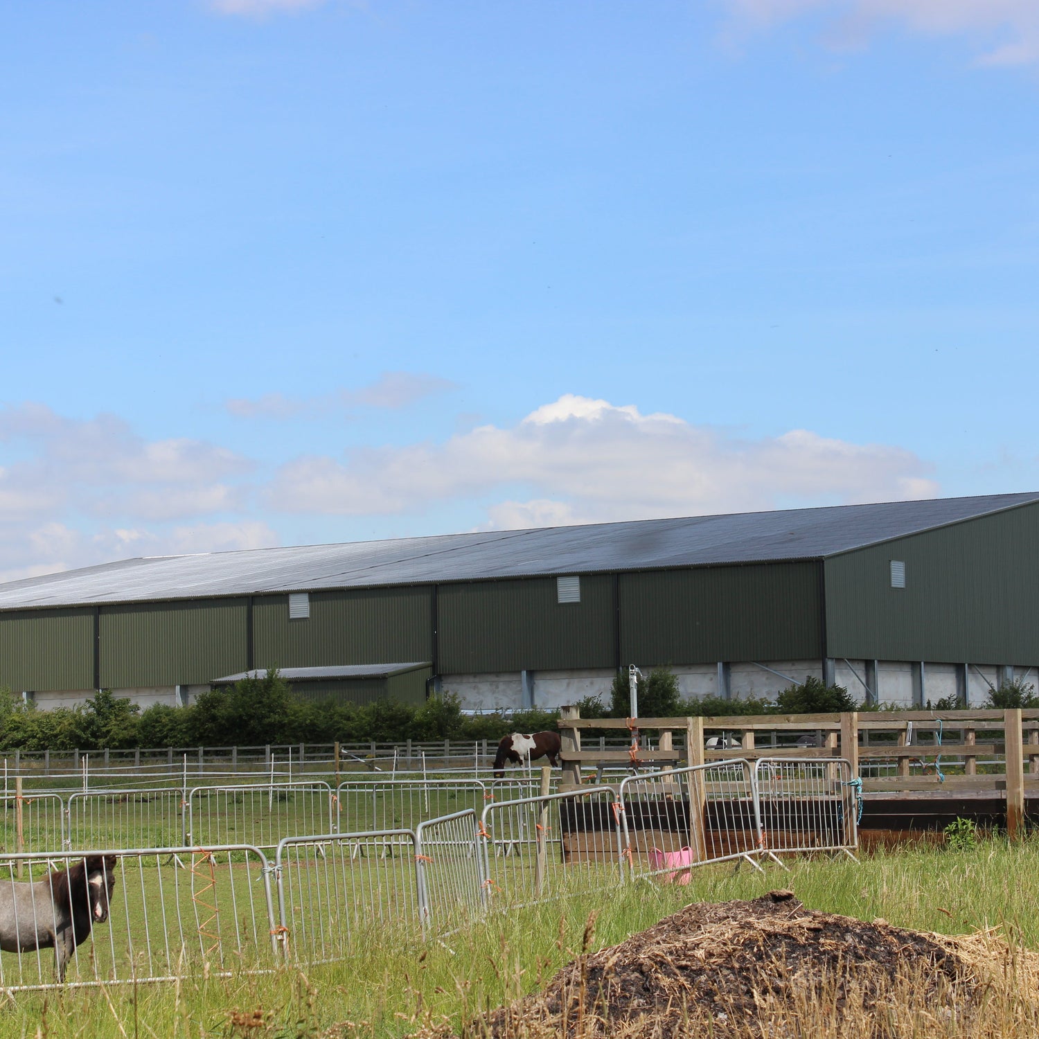 32/1000 Box Profile 0.5 Polyester Metal Sheet Anthracite