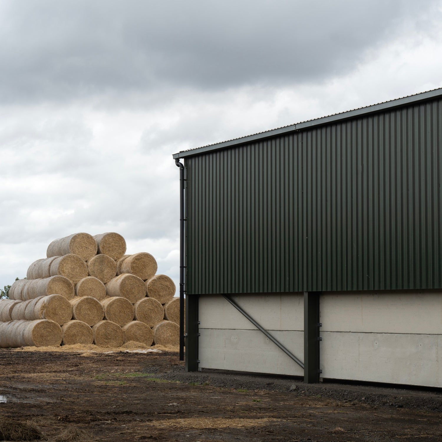 32/1000 Box Profile Sheeting 0.5 Thick Polyester Roof Sheet