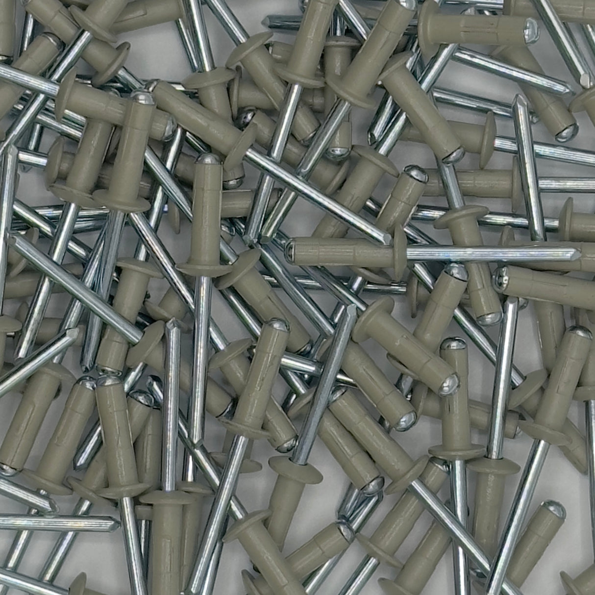 Coloured Rivets 4.9 x15mm (Pack of 100)